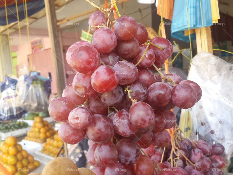 grape ...