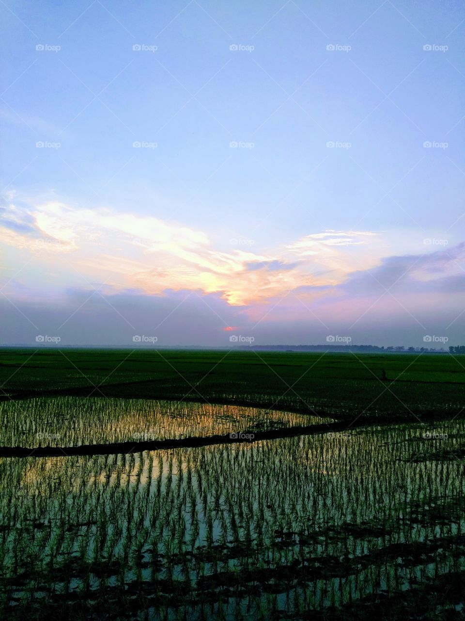 evening time sunlight