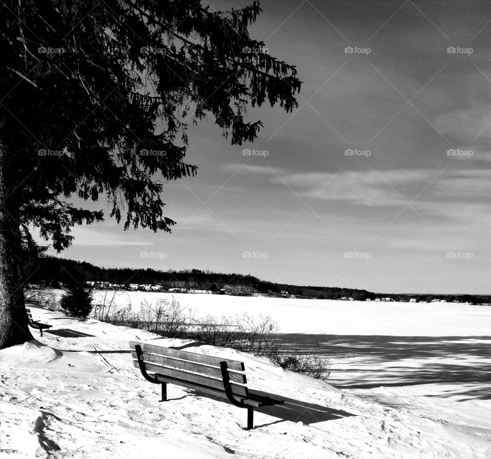 Water, Beach, Landscape, Tree, No Person