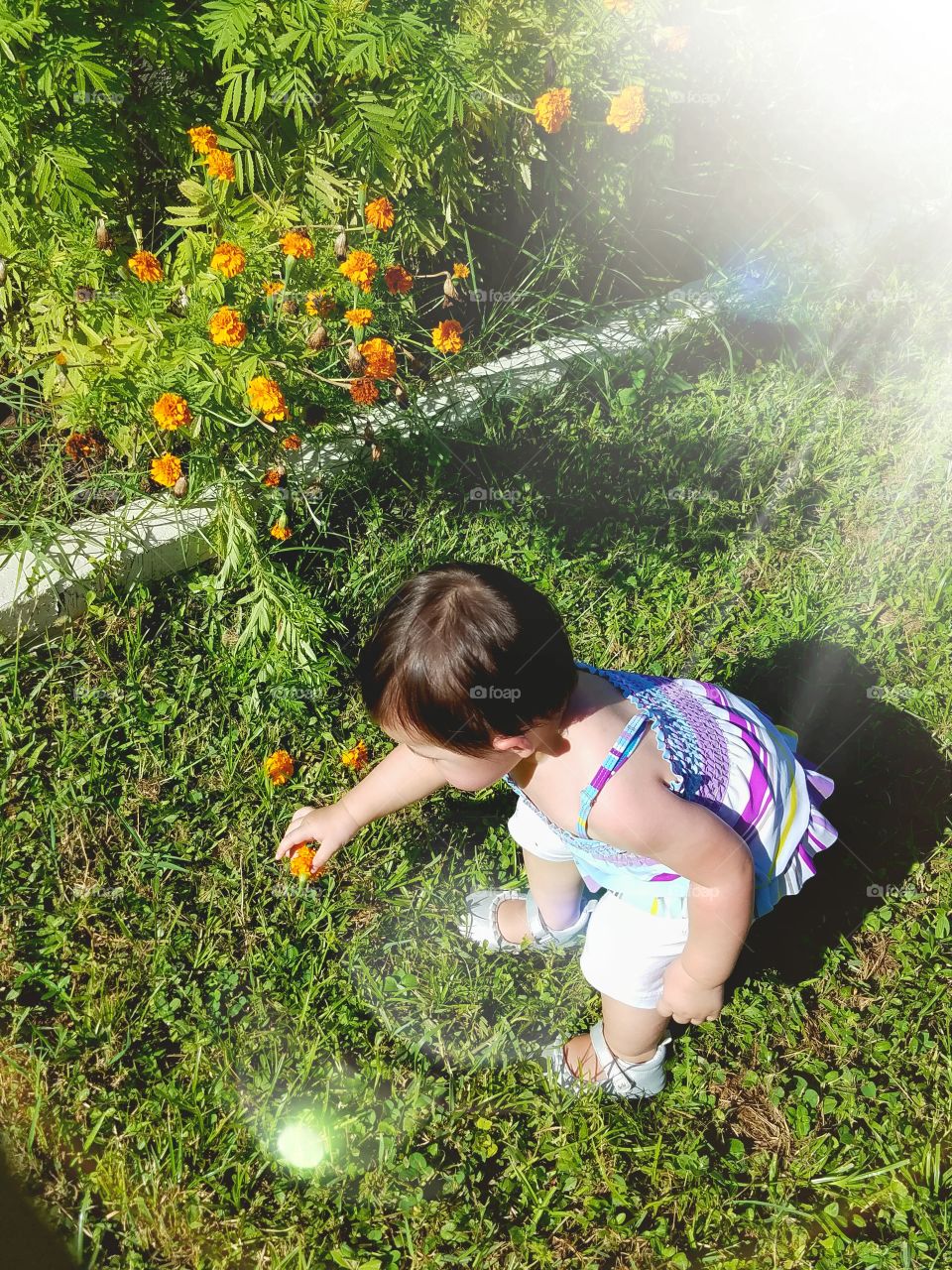 Child Picking Flower