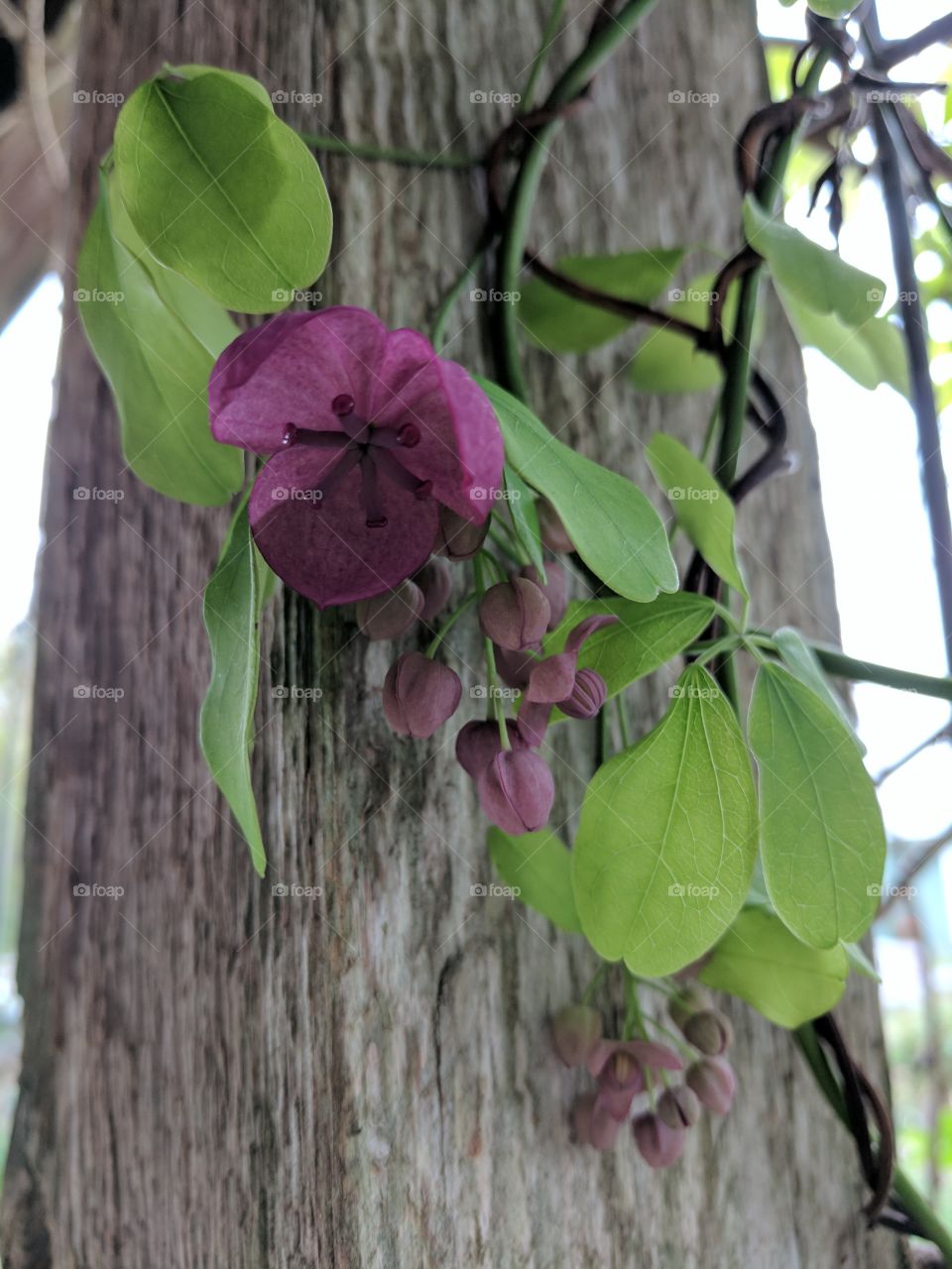 hanging around