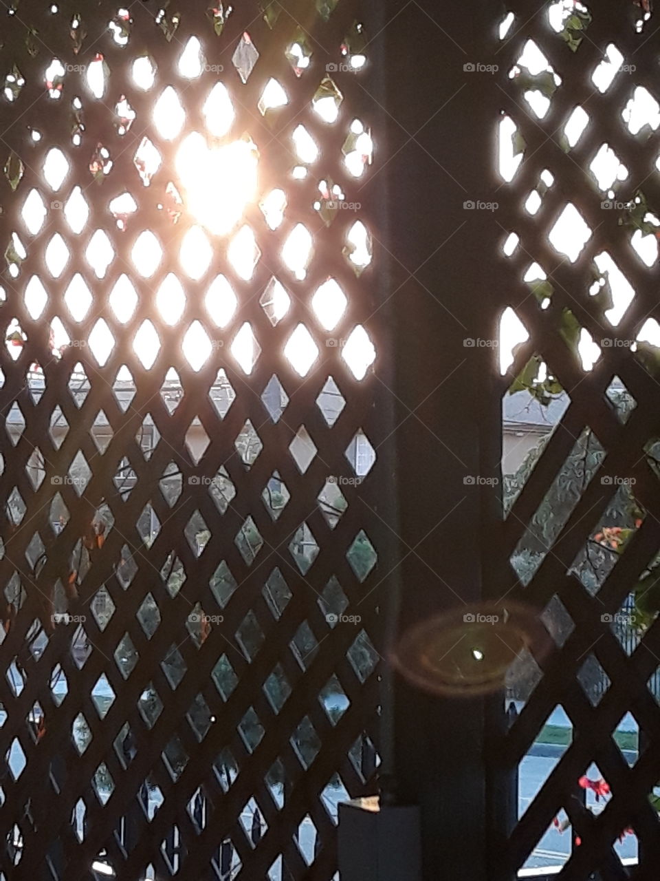the sun through the fence