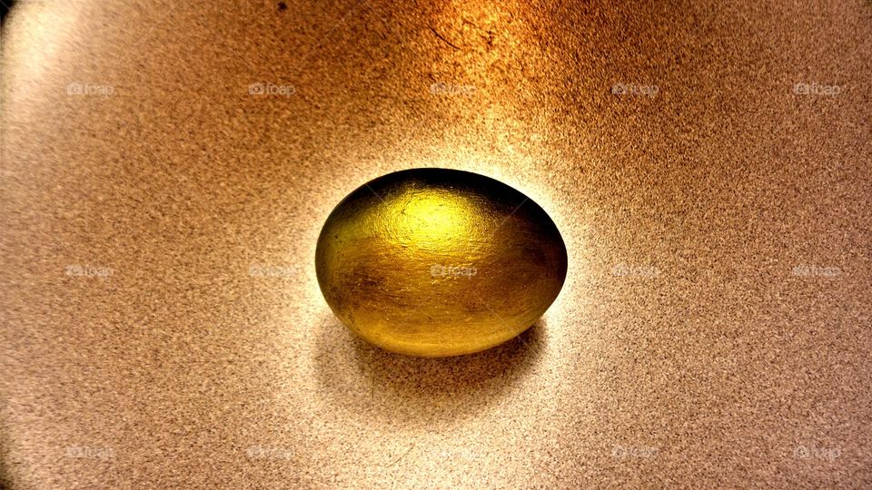 The Golden Egg