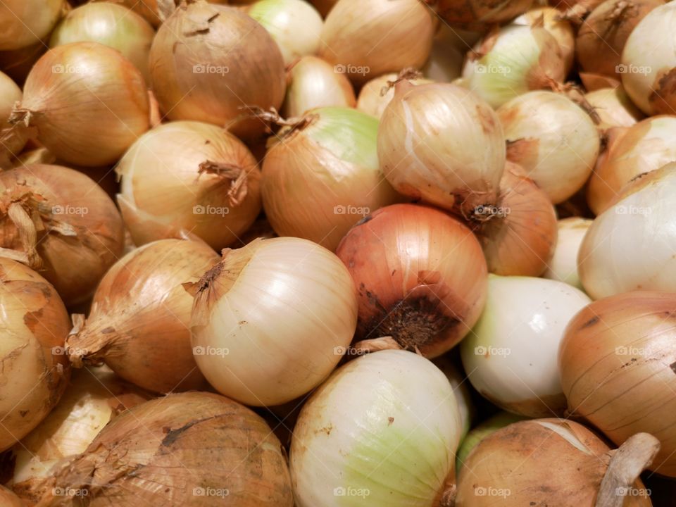 Close-up of many onions.