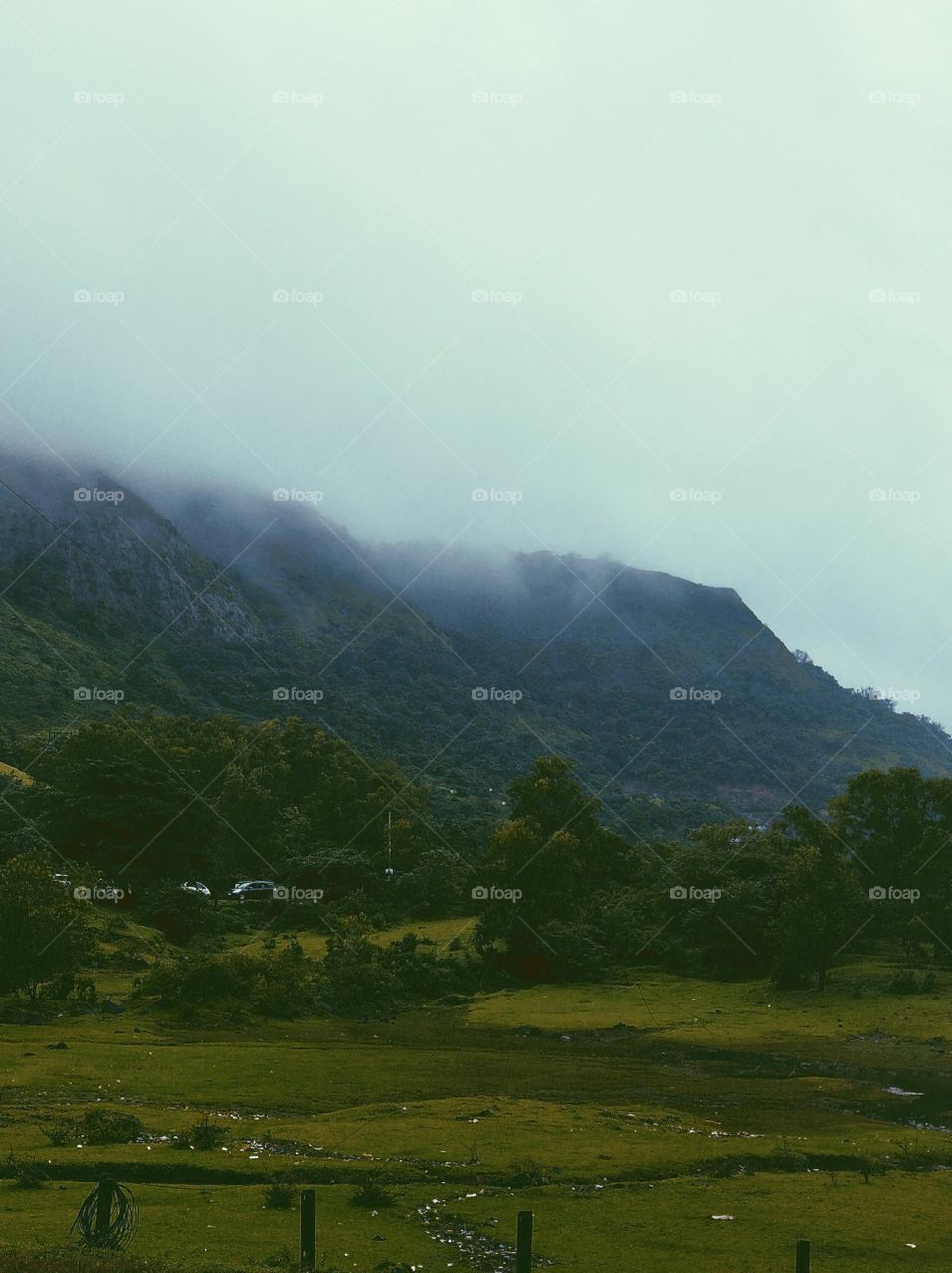 misty hills of Lonavala