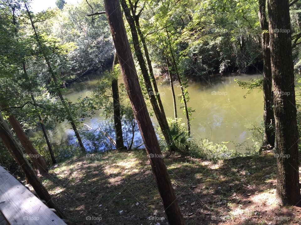 Few pictures of the creek behind a men's club 