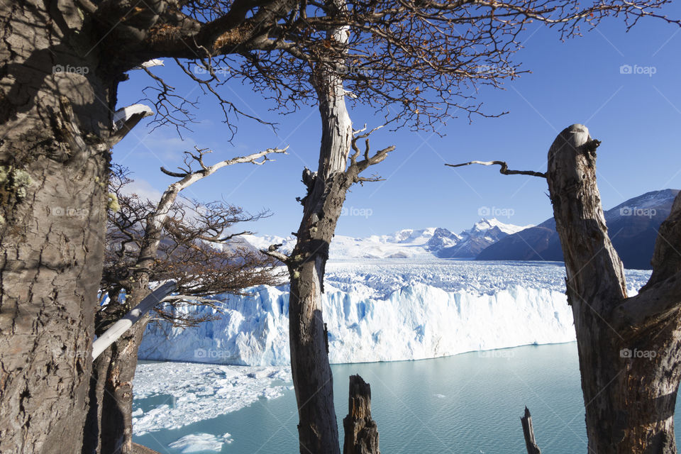 Perito Moreno Glacier near El Calafate in Argentina.