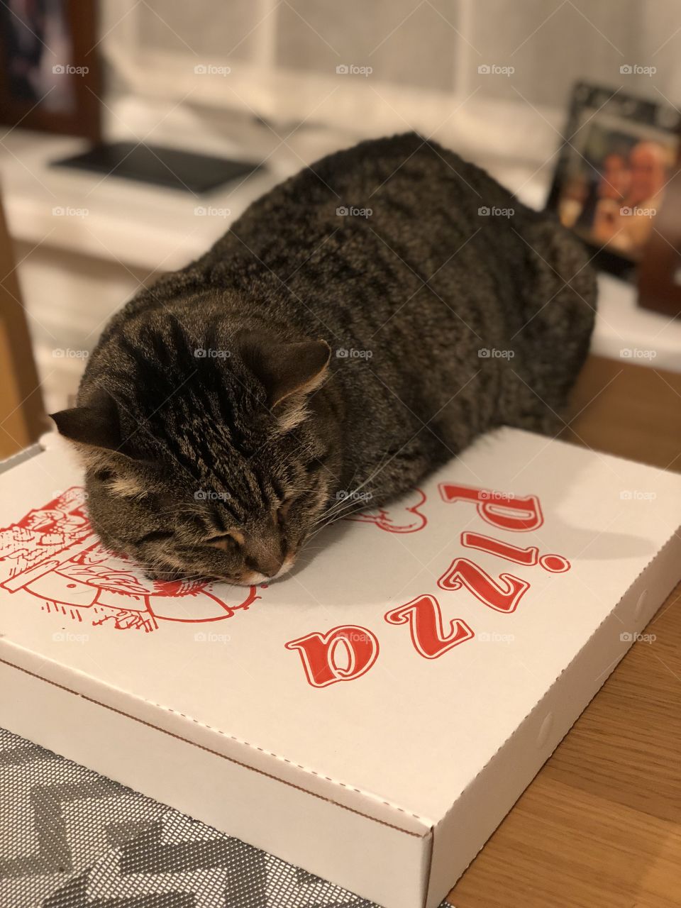 My cat loves pizza. And sleeping