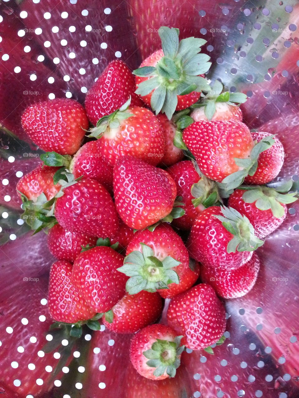strawberries. strawberries