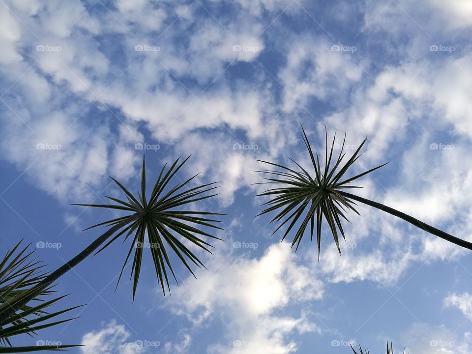 Low angle view of sky and clouds