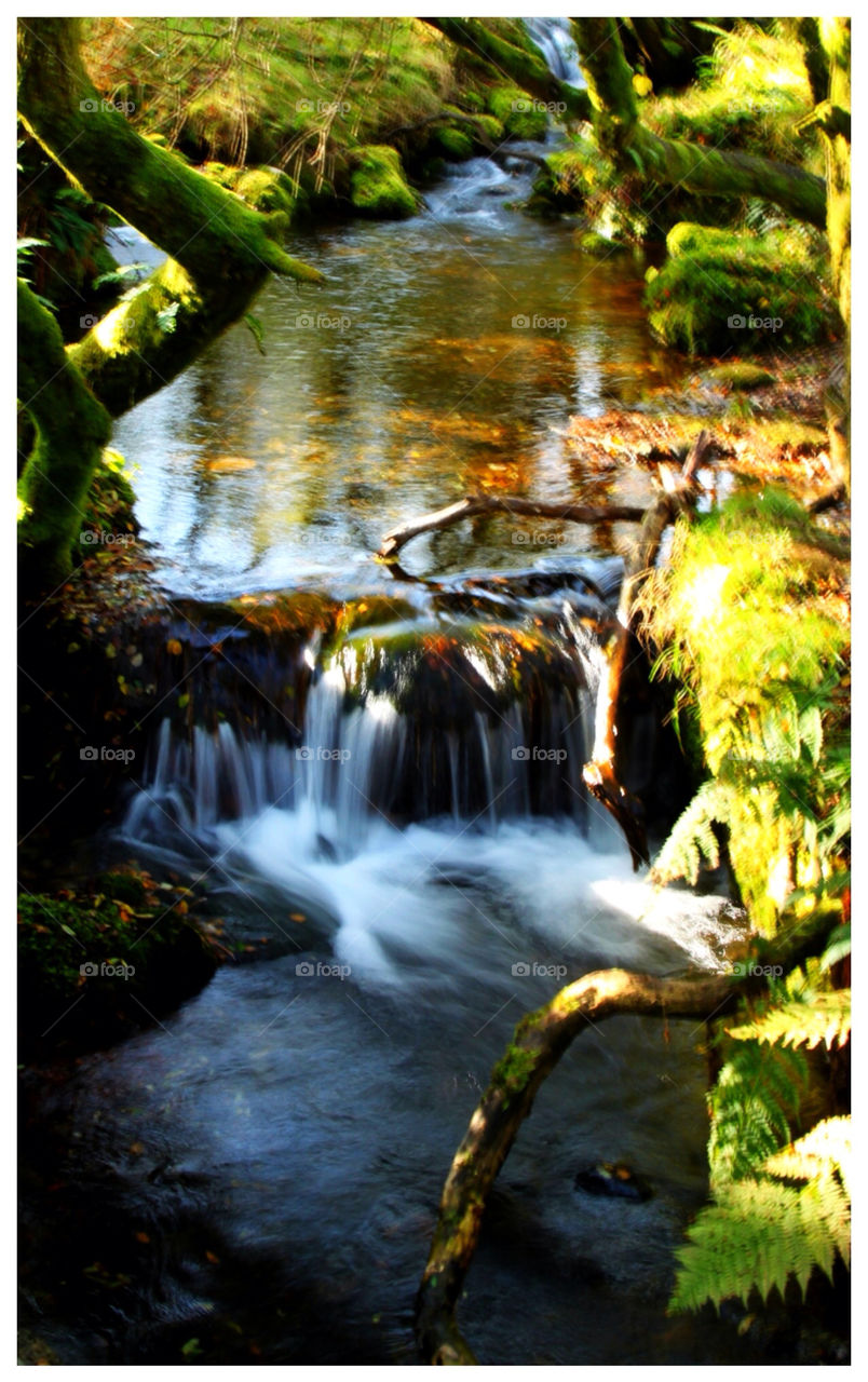 Water, Waterfall, Nature, River, Stream