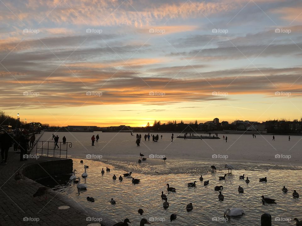 Sunset, Ducks, and Frozen Lake Views During Our Walking Food Tour in Reykjavik, Iceland.