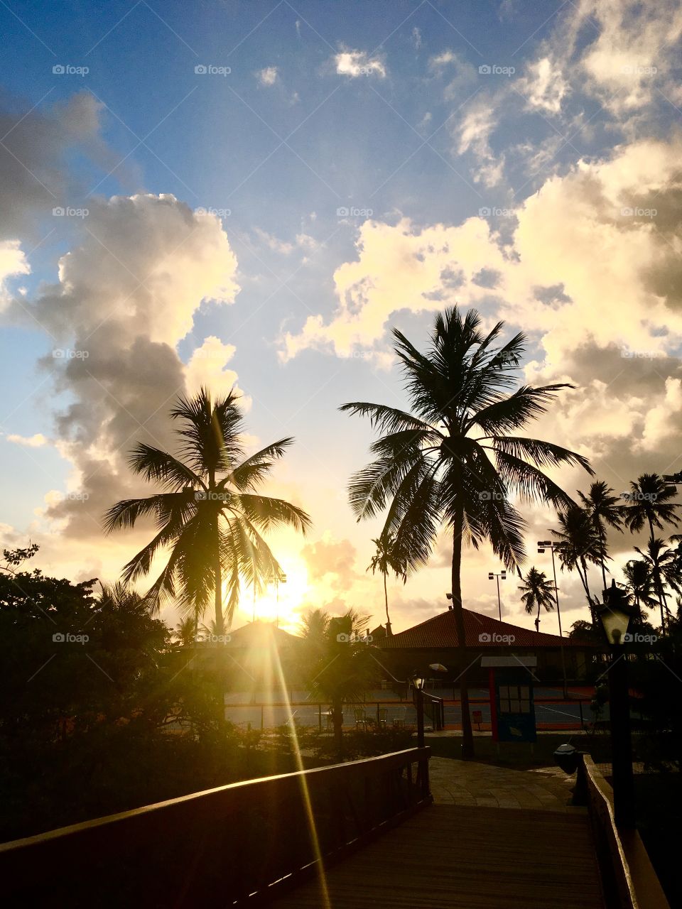 🌅Desperte, Maragogi
Que a jornada diária possa valer a pena!
🍃
#sol #sun #sky #céu #photo #nature #morning #alvorada #natureza #horizonte #fotografia #pictureoftheday #paisagem #inspiração #amanhecer #mobgraphy #mobgrafia #Maragogi