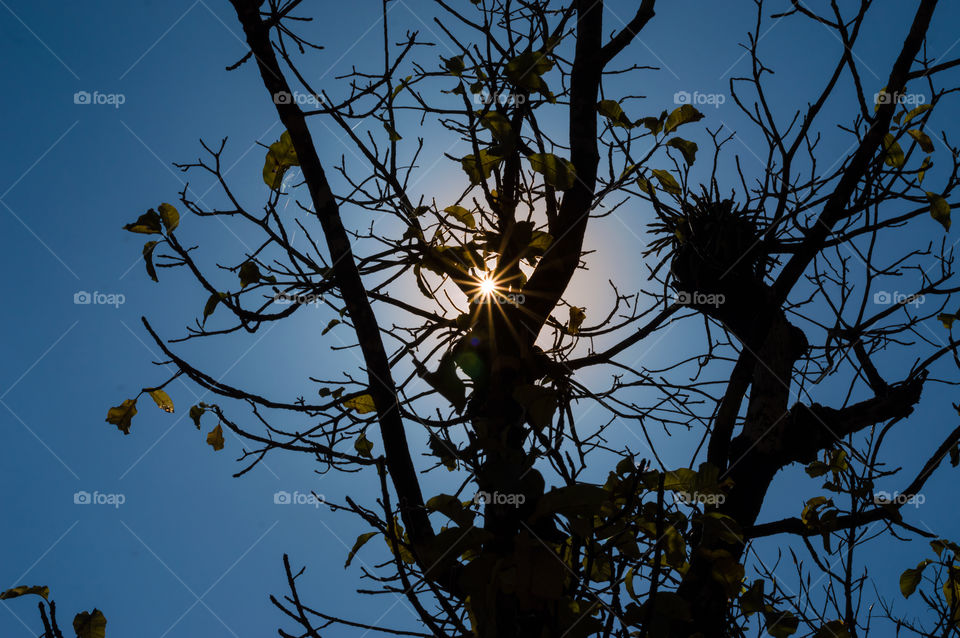 Silhouettes and shadows.