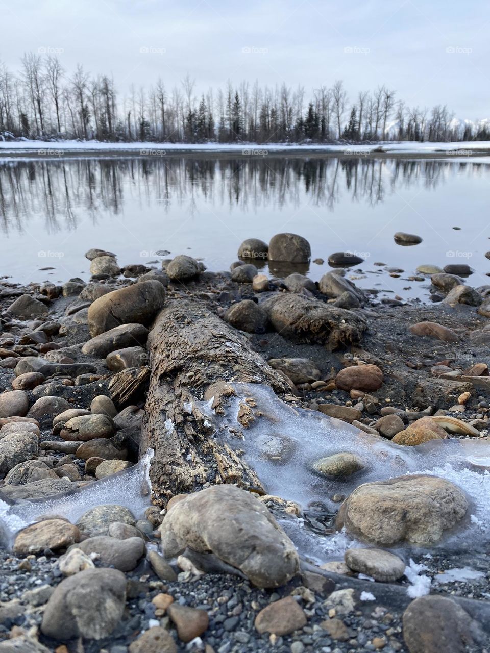 Iced log and rocks on the Eklutna Tailrace north of Anchorage, Alaska