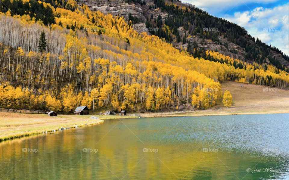 Fall leaves turn a hillside brilliant yellow and gold as reflected on the surface of a lake