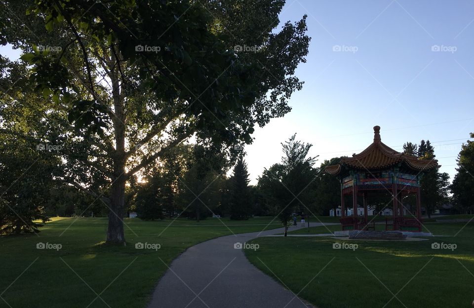 No Person, Tree, Landscape, Grass, Golf