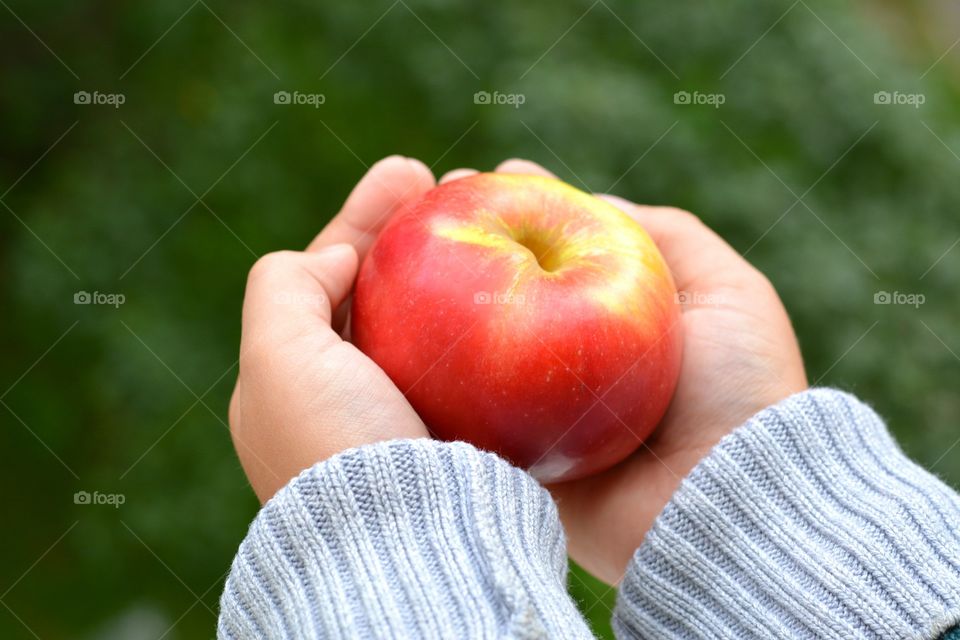 red apple fruit in the hand child