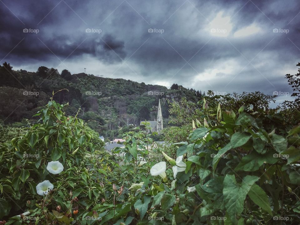 Church spire in Port Chalmers, New Zealand, seen from hillside overlooking the town