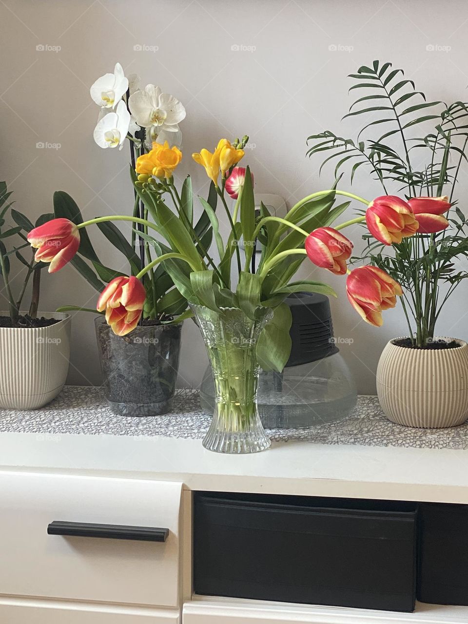 Flowers in vase and pots 