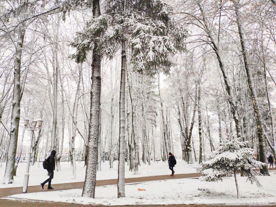 winter whitness magic...