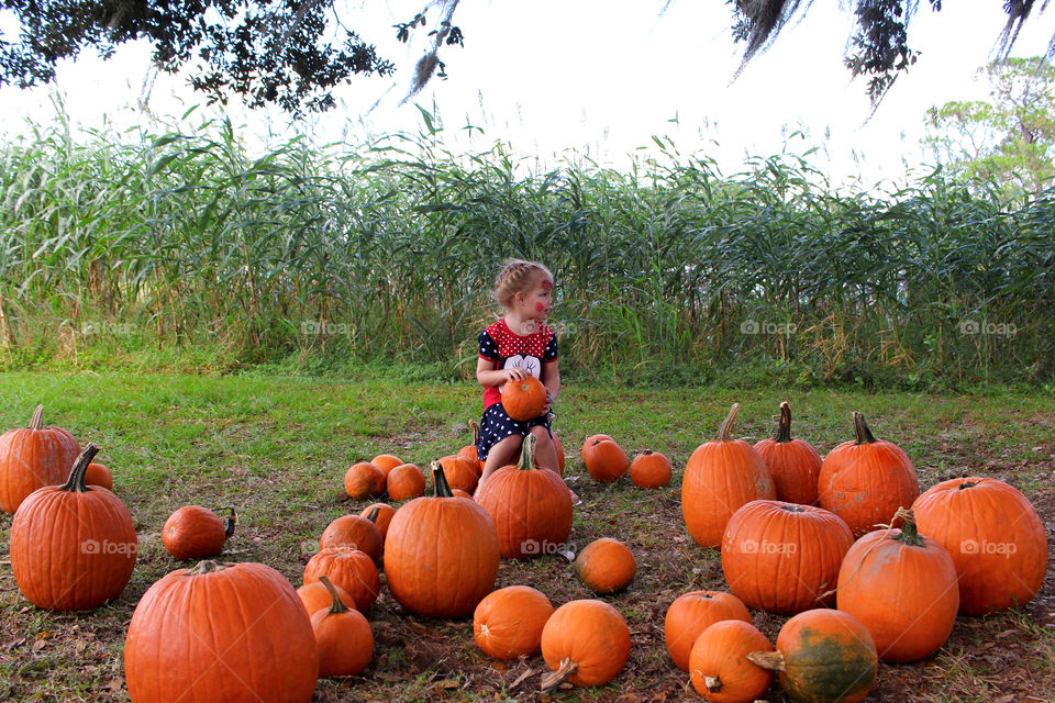 Girl with pumpkins in farm