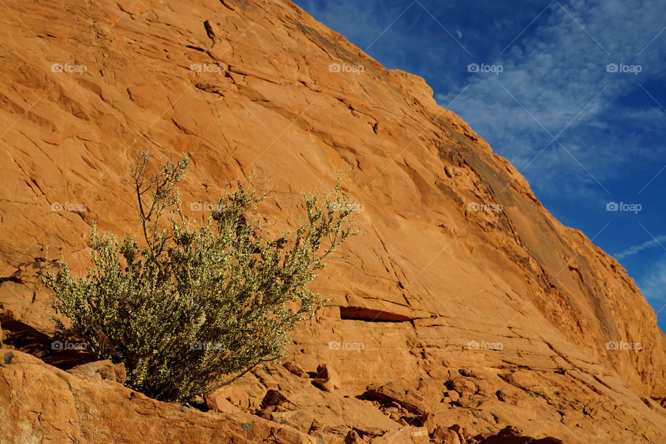 Nevada landscapes 