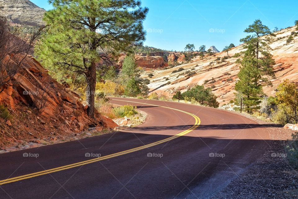 Zion National Park