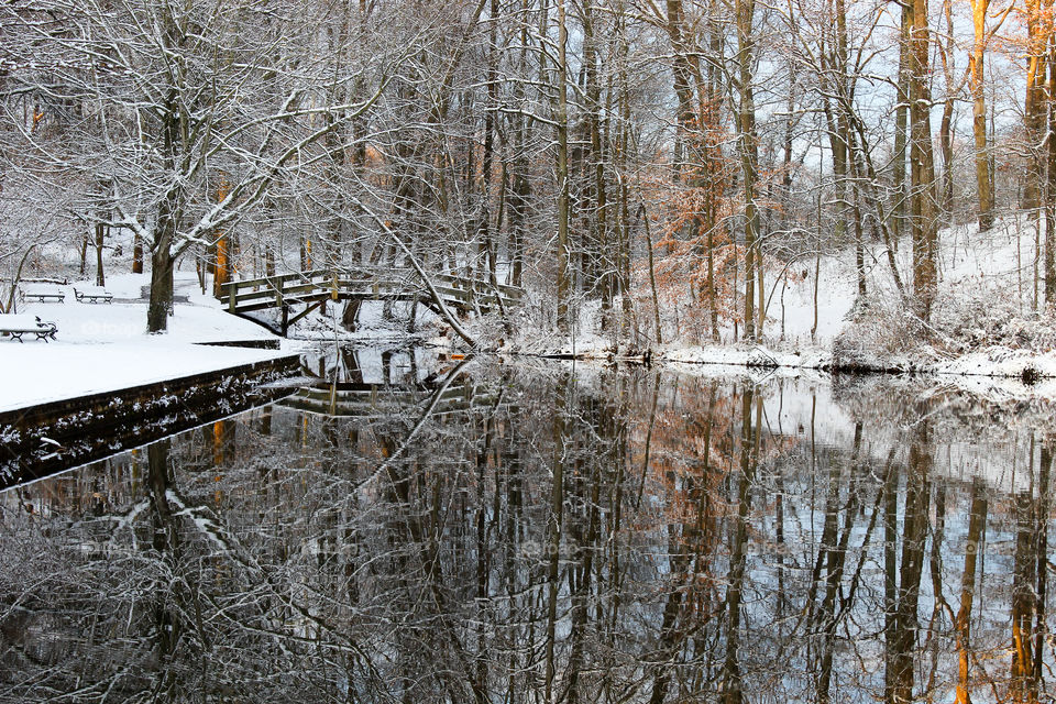 Icy Pond and Bridge with a Kiss of Sunlight