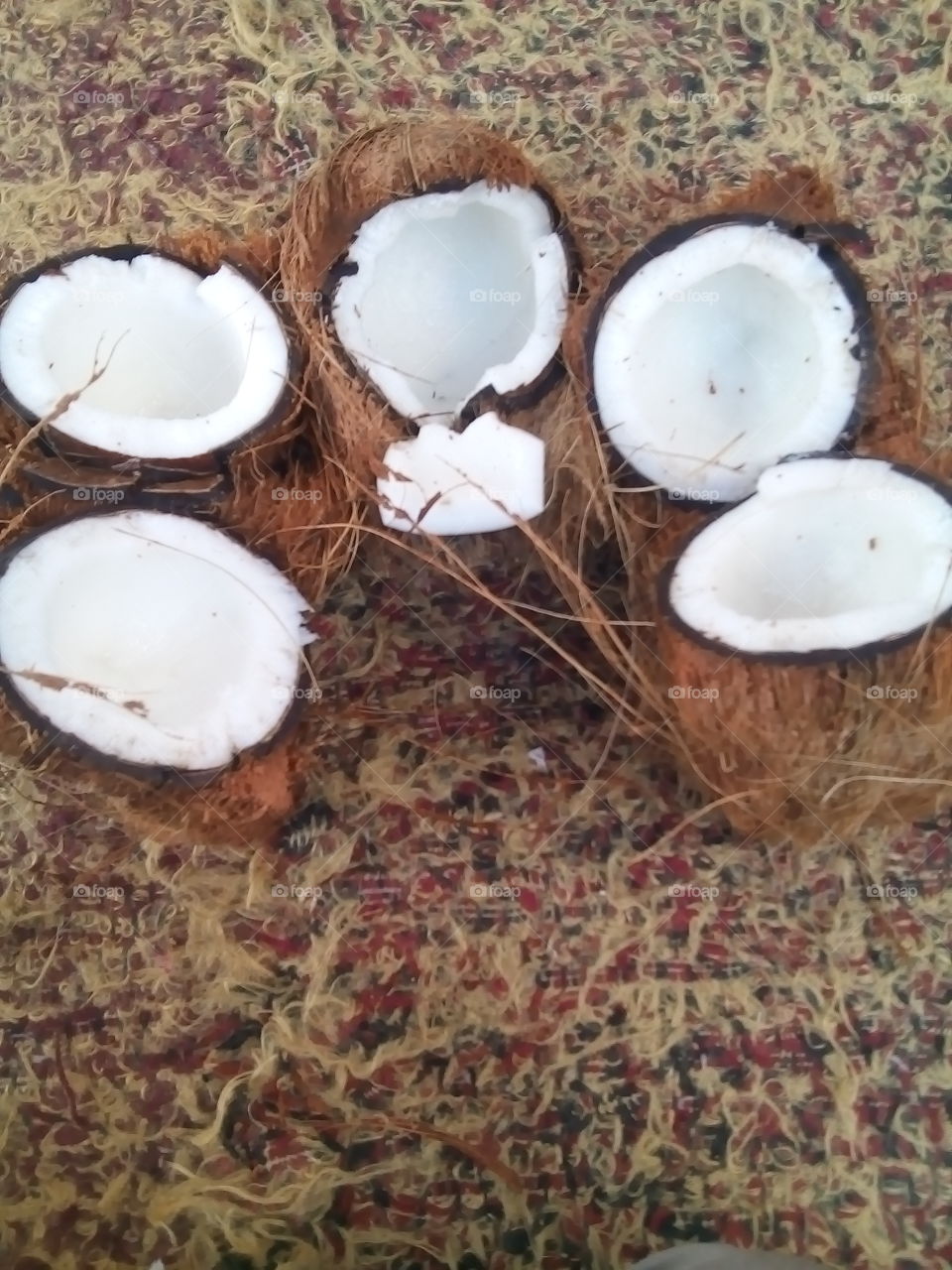 exotic fruit coconut