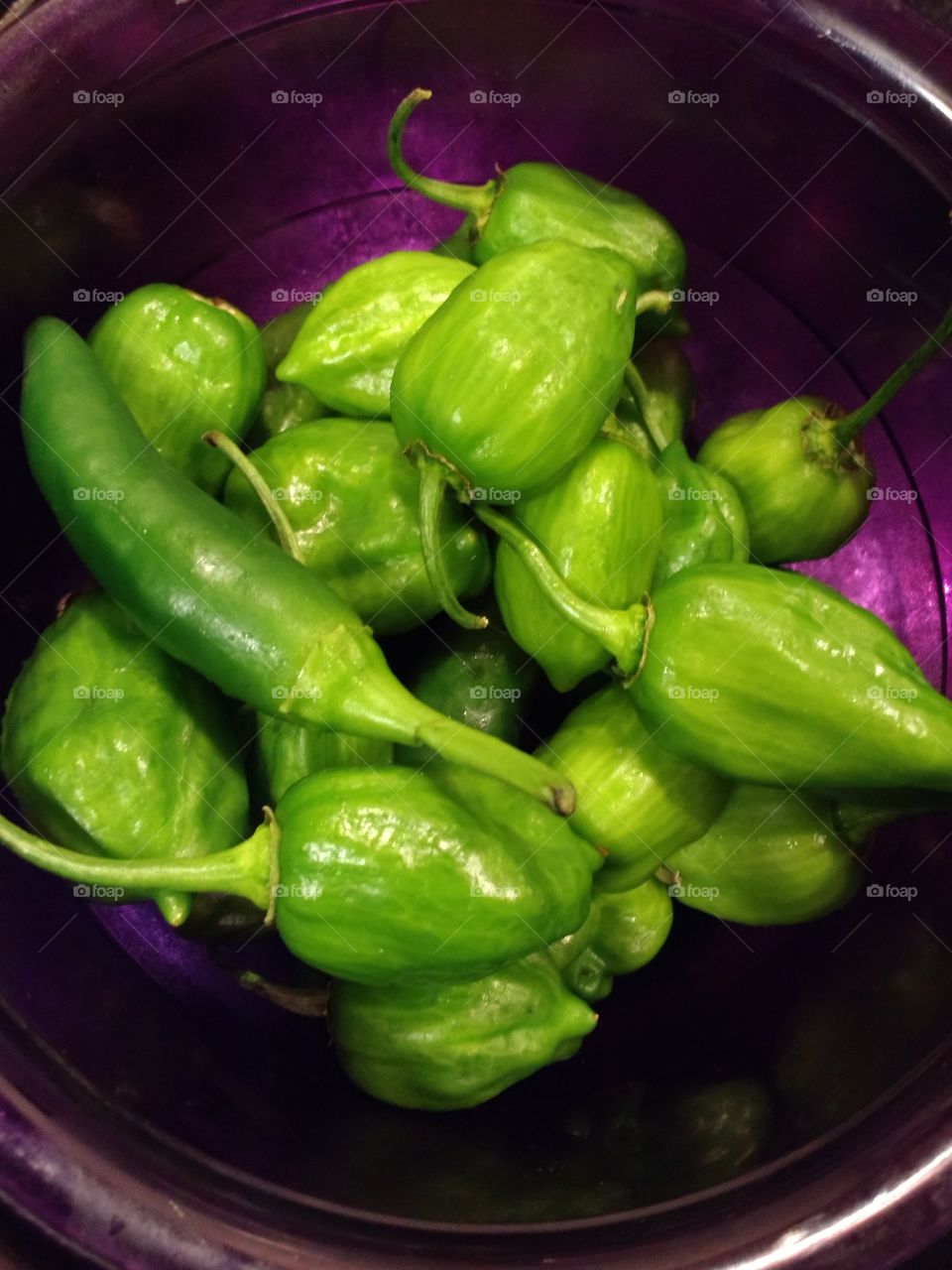 jalapeno and habanero bowl