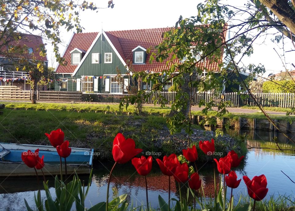 classic house in Marken, Holland