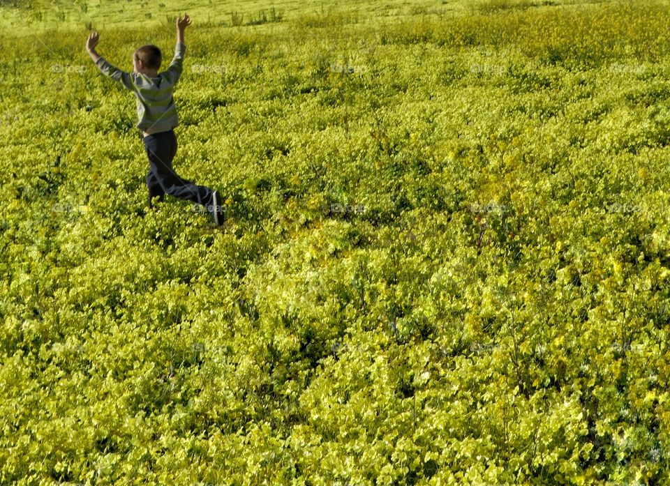 Boy Running Through Yellow Wildflowers 