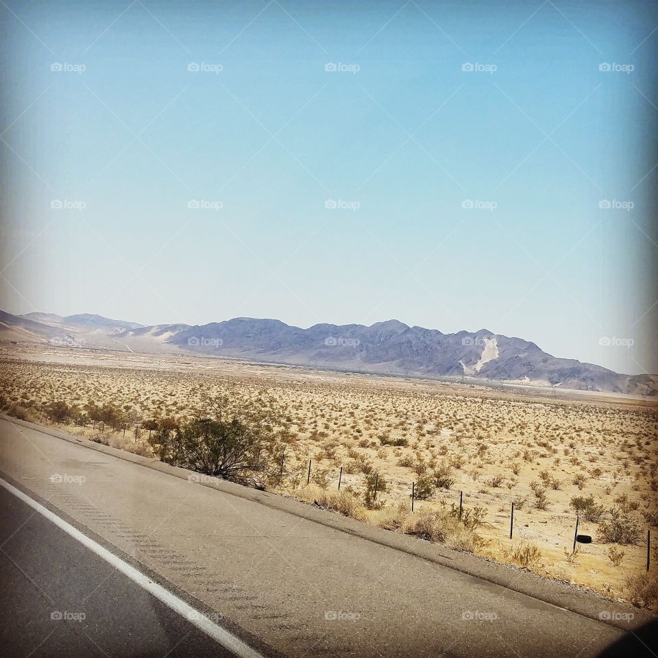 Mojave desert