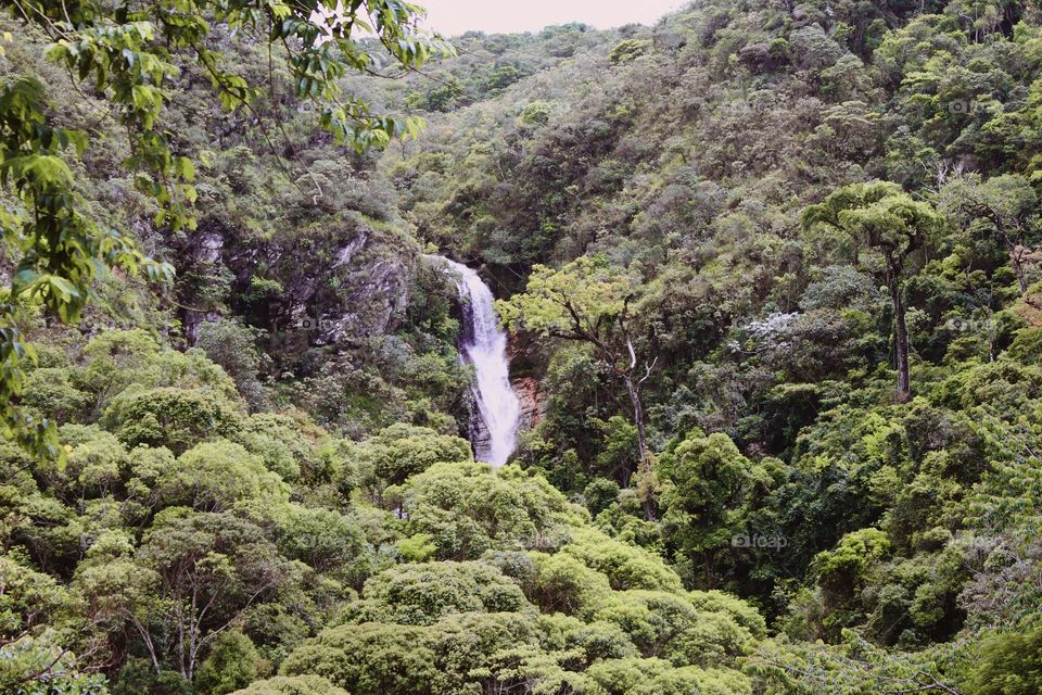 Water fall in the middle of the forest