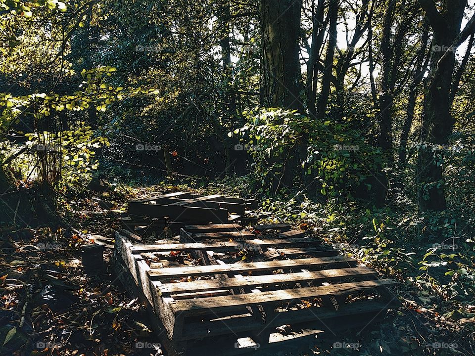 Abandoned wooden pallets, Cwmbach mountain, Aberdare - October 2018