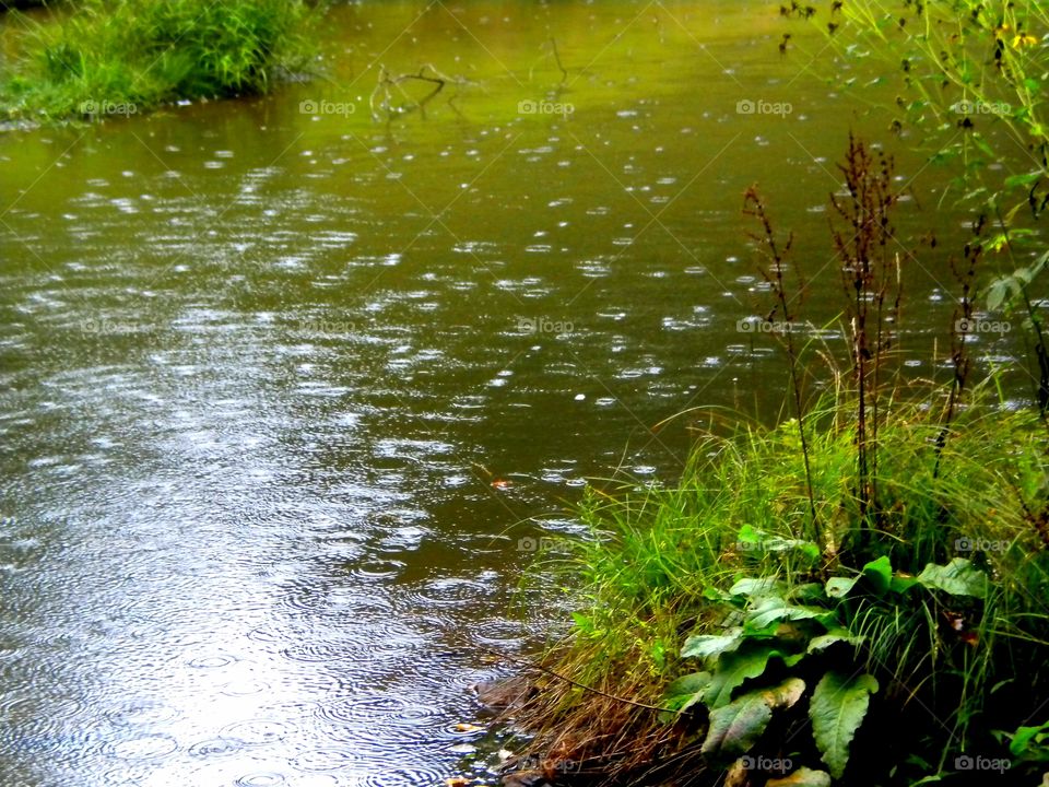 Raindrops in the water