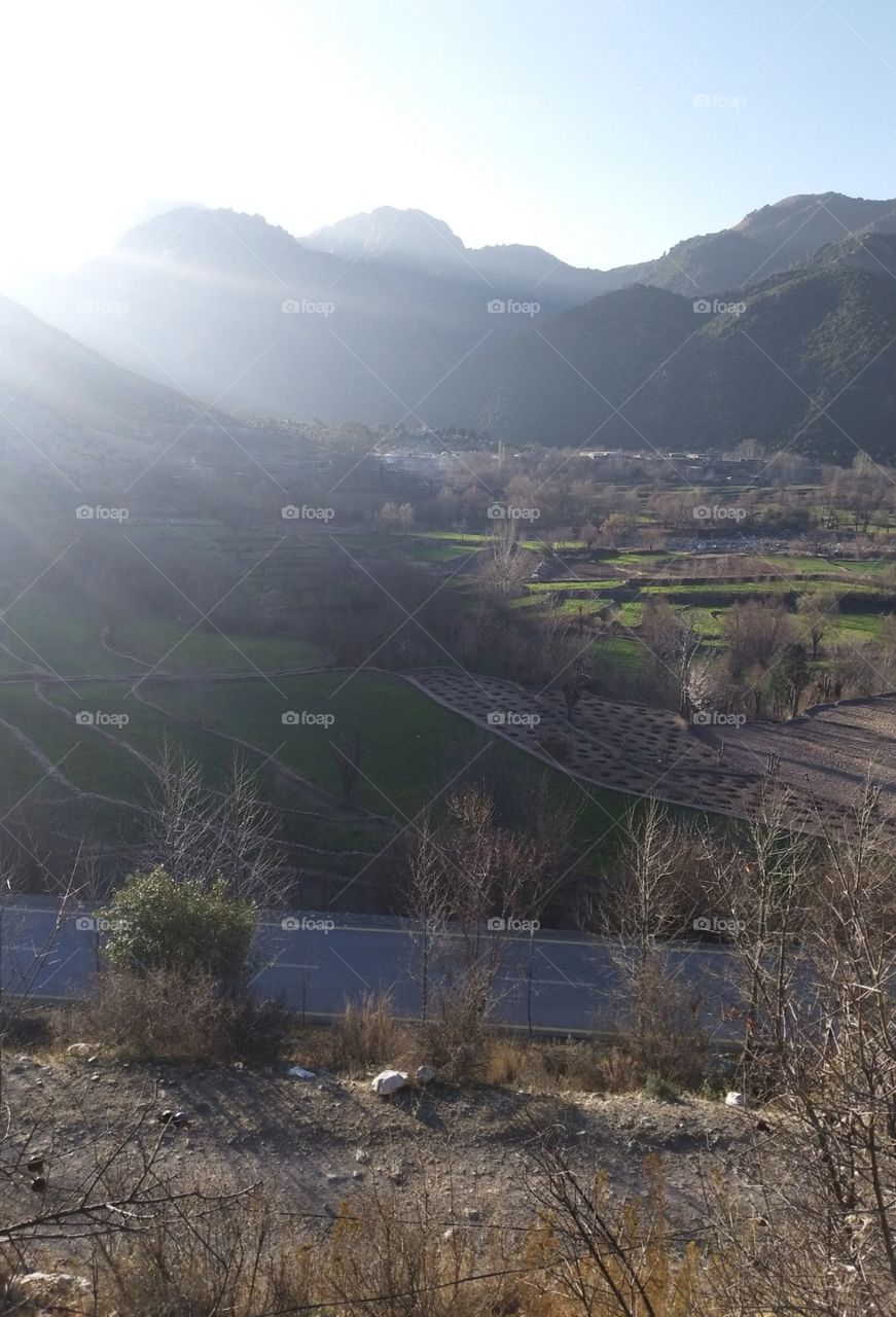 morning time sunlight