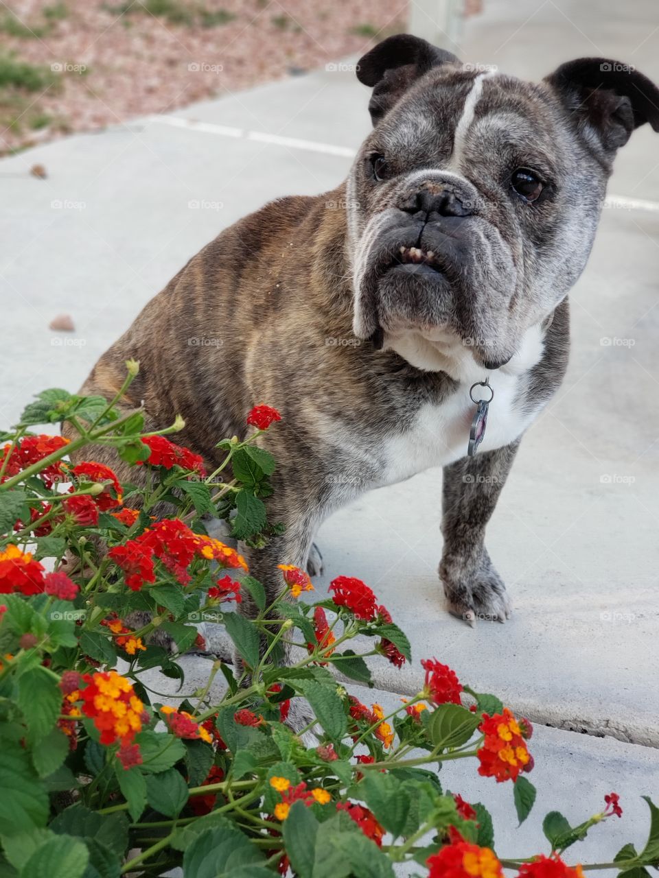 Stop to smell the flowers