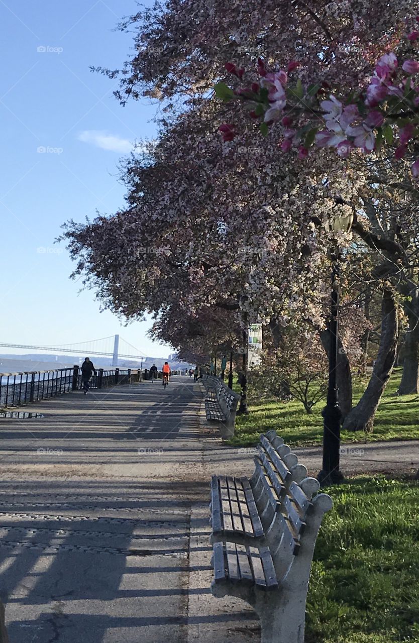Running/biking path at Riverside park 