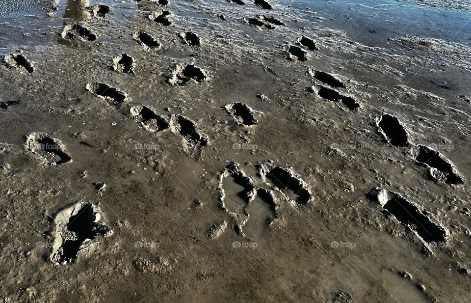 footprints. mud flat walking footprints