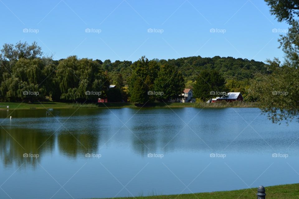 Reflection, pond , daytime 