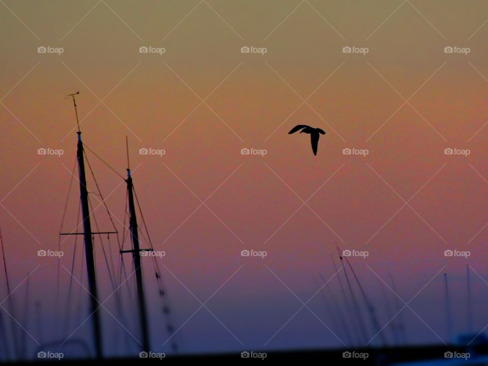 Michigan evening sky