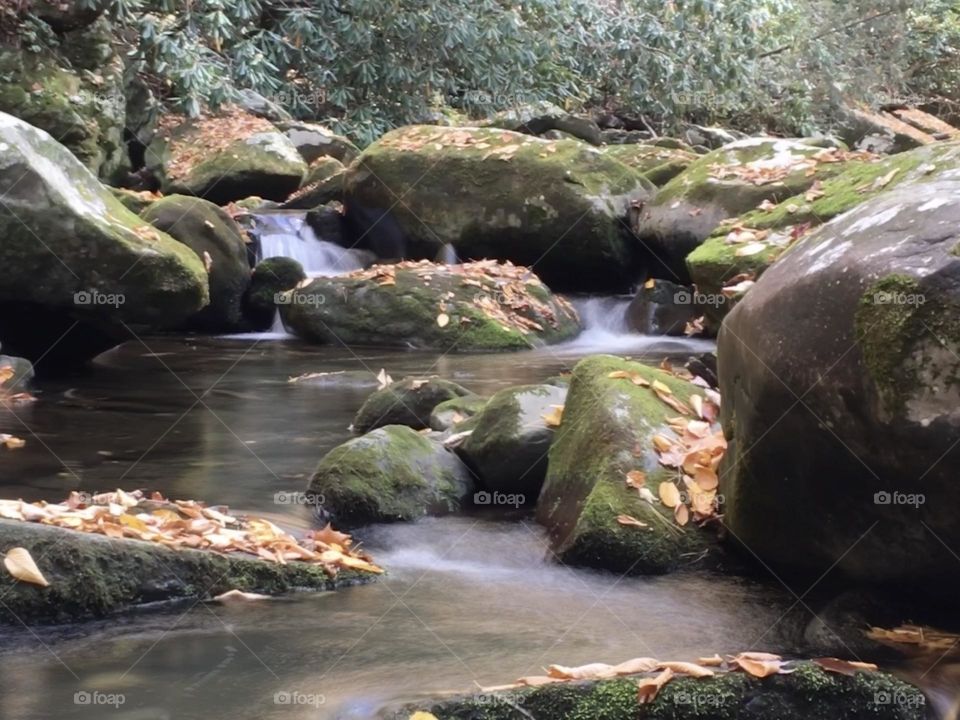 Great Smoky Mountains National Park East Tennessee waterfall nature hike forest autumn 