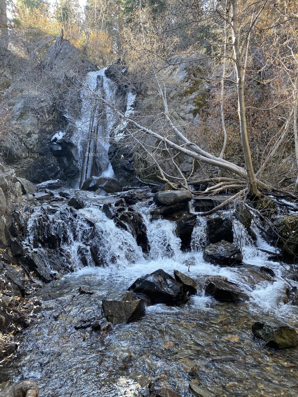Waterfall at the end of a hike in the Reno mountains. 