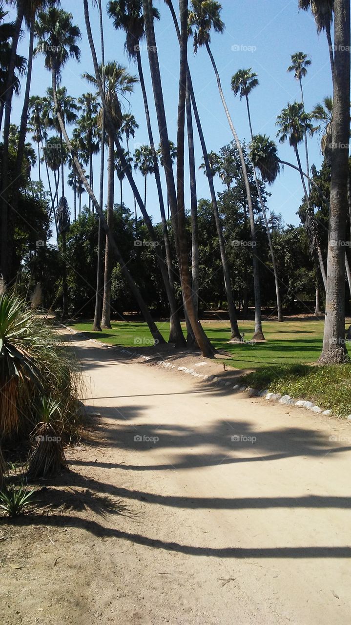 Fantasy Island Film Location Los Angeles County Arboretum and Botanic Garden