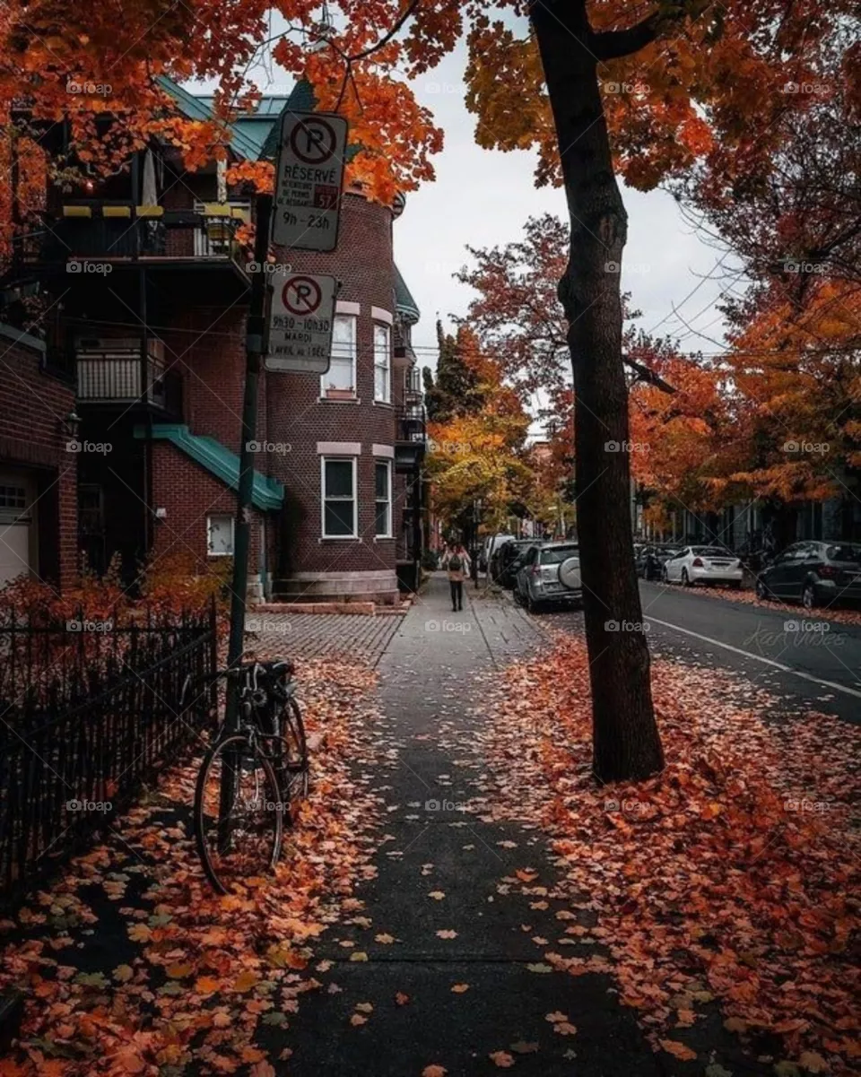 Autumn