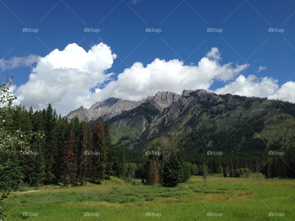 View from my car window driving through Banff National Park! 