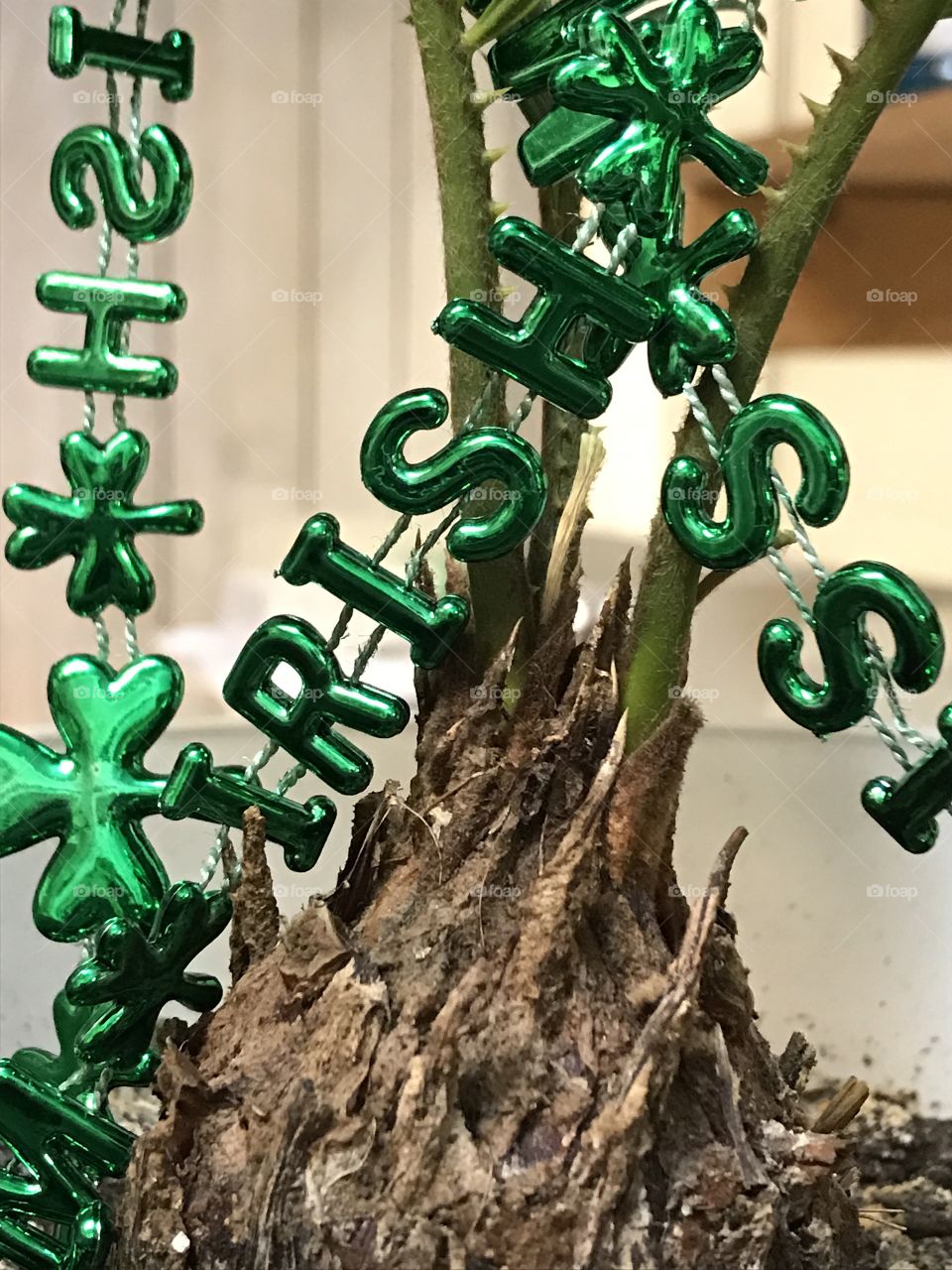 Close-up of decorative tree