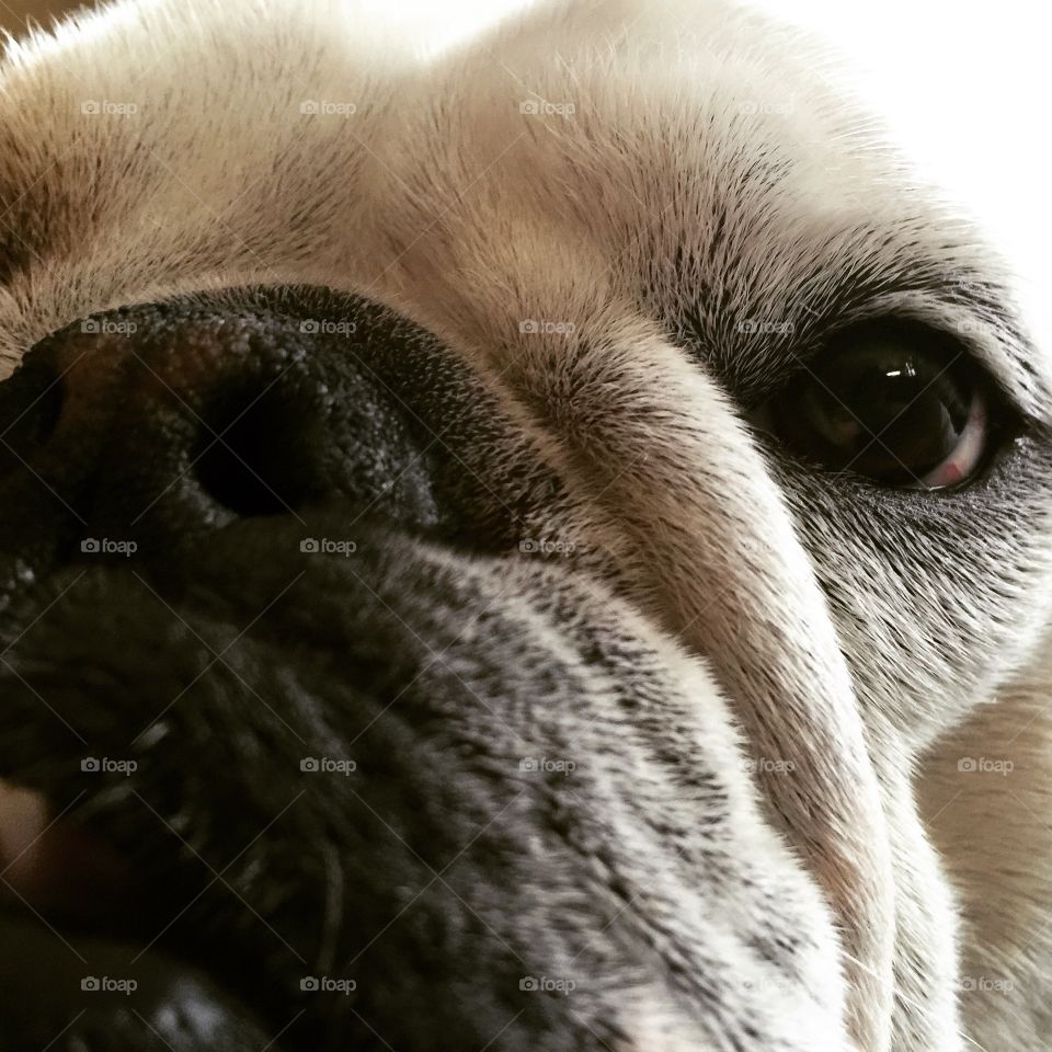 Up close and personal